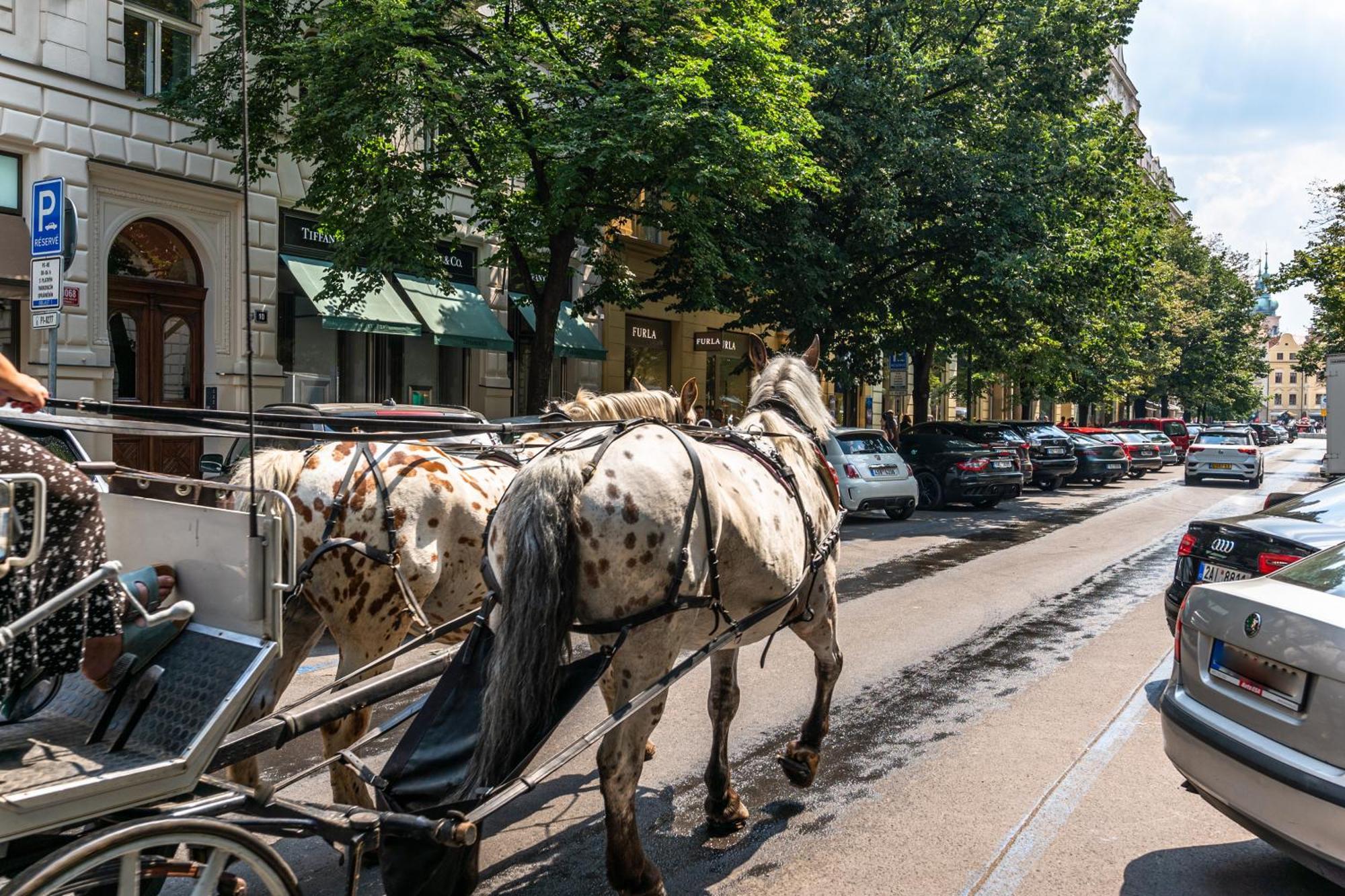 Wishlist Prague Residences - Old Town Dlouha Εξωτερικό φωτογραφία